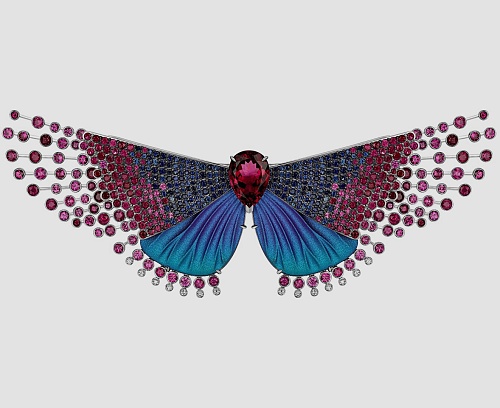 «На свет из темноты» 